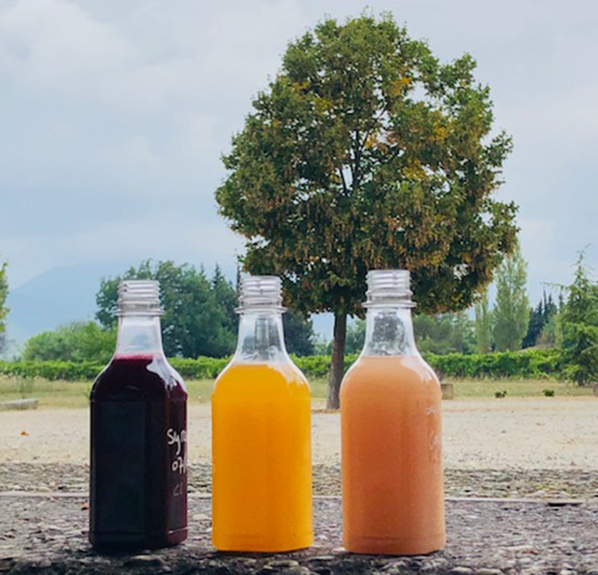 Nouvelles du millésime 2024